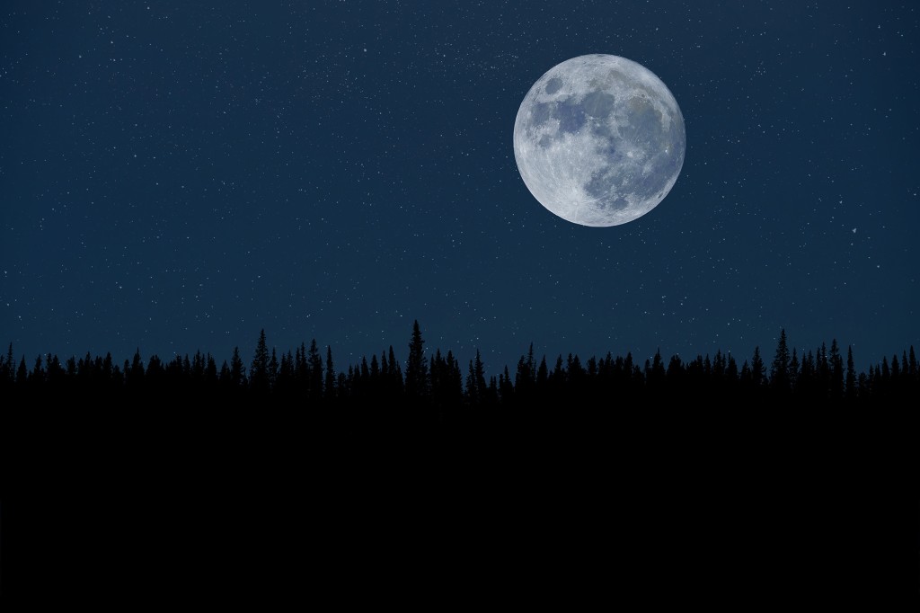 Super Luna sopra la foresta di notte