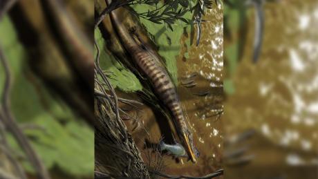 Illustrazione di Baryonyx walkeri, uno spinosauride del Regno Unito, che caccia e si nutre.