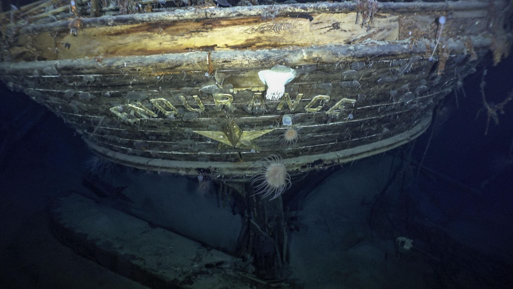 Resistenza: la nave dell'esploratore Shackleton trovata un secolo dopo