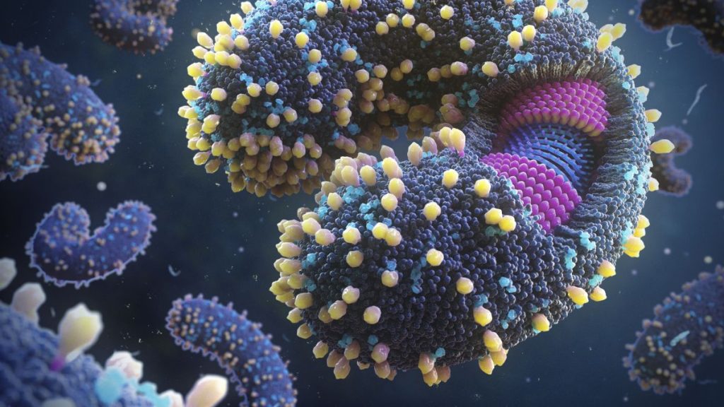 Migliaia di nuovi virus scoperti negli oceani del mondo