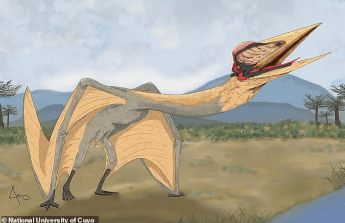 I paleontologi in Argentina hanno scoperto fossili di un nuovo tipo di pterosauro chiamato 