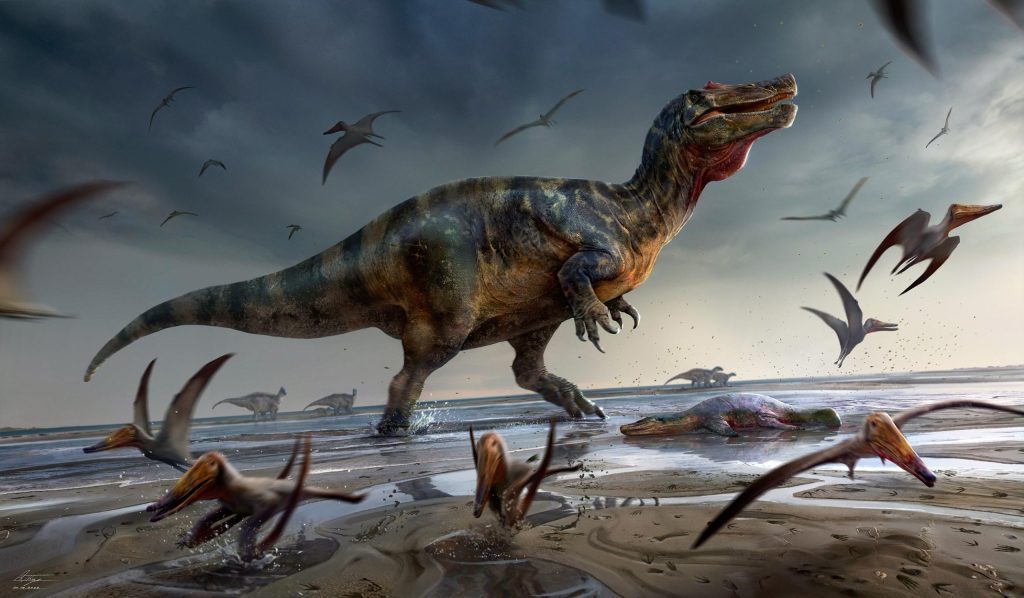 Il più grande dinosauro predatore in Europa scoperto sull'Isola di Wight