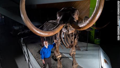Il paleontologo dell'Università del Michigan Daniel Fisher posa con lo scheletro composito di un mastodonte di Buesching.
