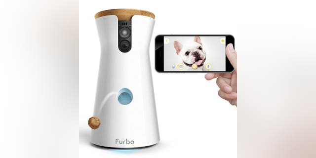 Fotocamera per cani Forbo.  L'ultima telecamera per animali domestici di Furbo ti offre viste a 360 gradi.  In questo podcast, ho avuto uno scoop su sette nuove entusiasmanti funzionalità di iOS 16 e un trucco per la fotografia d'azione. 