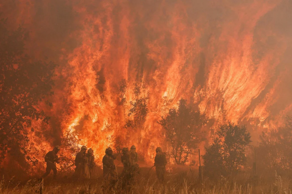 Incendi boschivi devastati dalla Spagna in un'ondata di caldo record