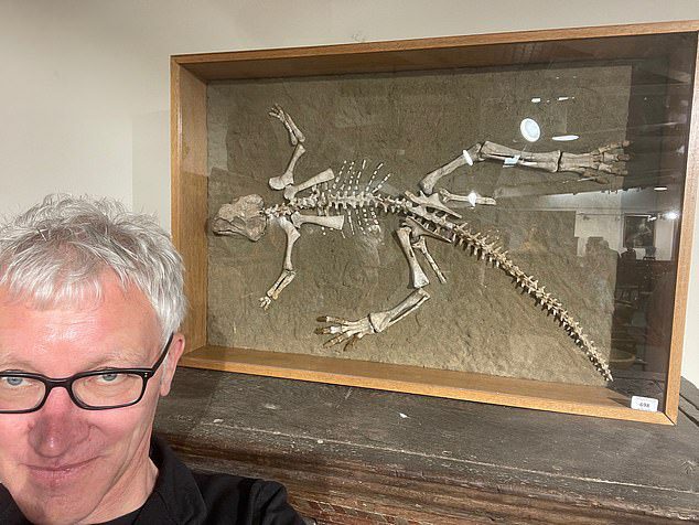 L'uomo di 54 anni (nella foto Tom Holland) è andato con il padre alla vendita a Woolley & Wallis, a Salisbury, nel Galles, per fare una presentazione sullo scheletro di uno Psittacosarus (lucertola pappagallo) di età compresa tra 97,5 e 119 milioni di anni