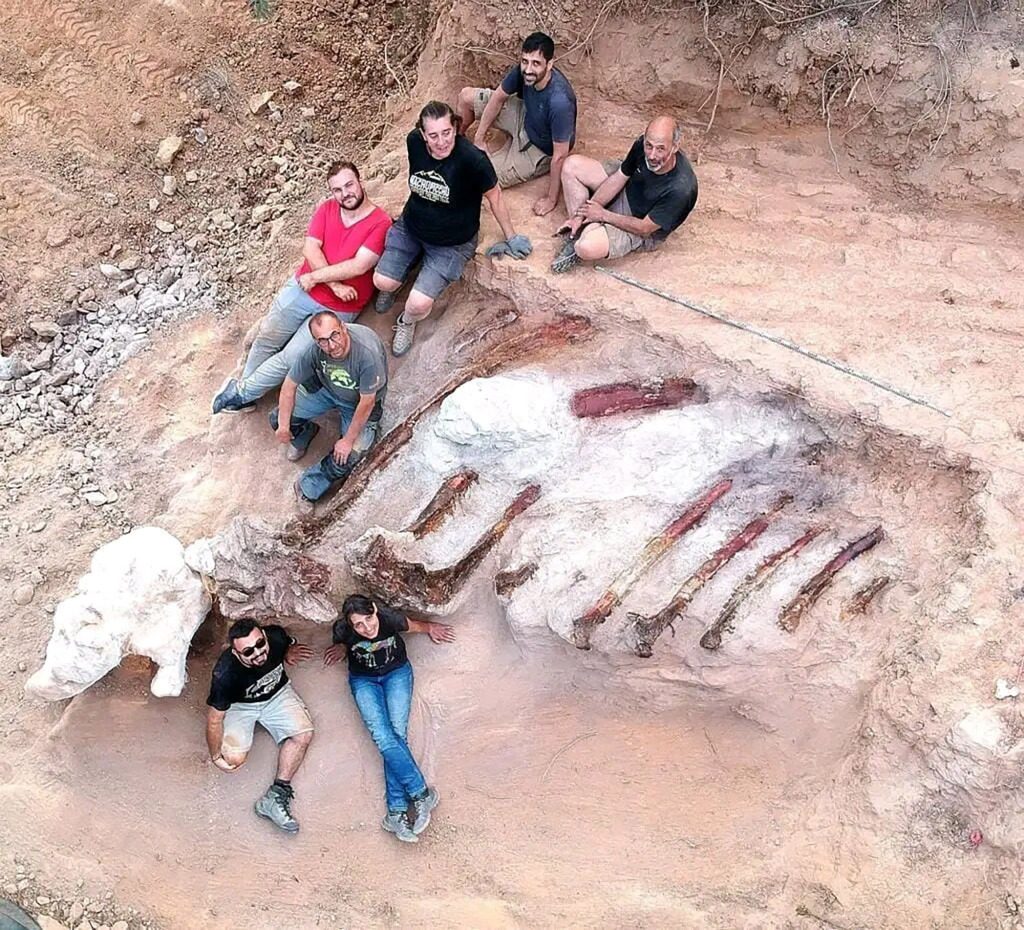 Ad agosto, i paleontologi hanno raccolto costole lunghe 10 piedi.  