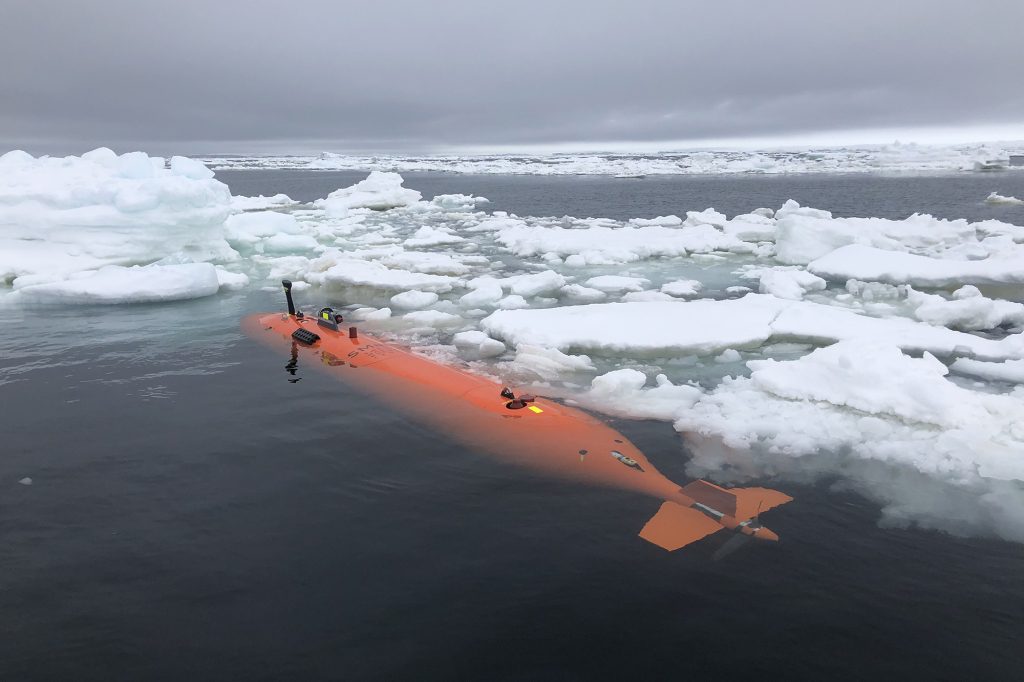 All'inizio di quest'anno, un gruppo internazionale di scienziati ha tentato di studiare il ghiacciaio nel tentativo di fermare l'erosione.