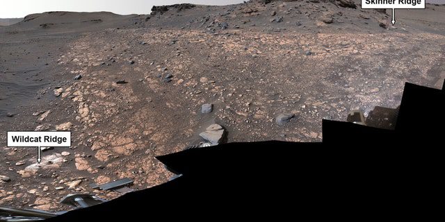 Il rover Perseverance della NASA ha raccolto campioni di roccia per un possibile futuro ritorno sulla Terra da due luoghi presenti nell'immagine di Marte del cratere Jezero: "Cresta del gatto selvatico" (in basso a sinistra) e "Skinner Ridge" (in alto a destra). 