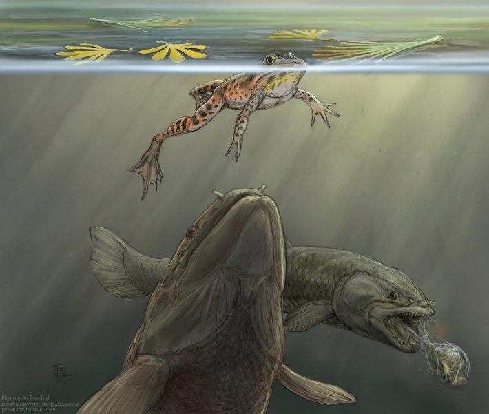 Illustrazione di un pesce preistorico che si avvicina a una rana ignara sulla superficie dell'acqua e un altro pesce che lancia una rana sullo sfondo
