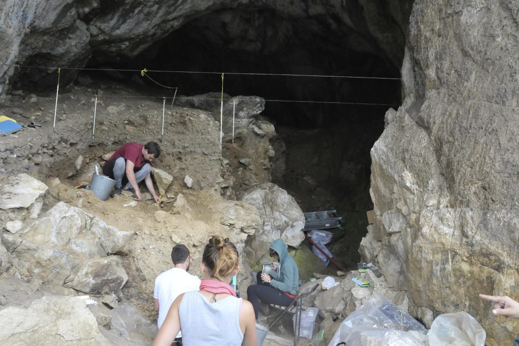 Il DNA antico offre uno sguardo raro sui legami familiari dei Neanderthal