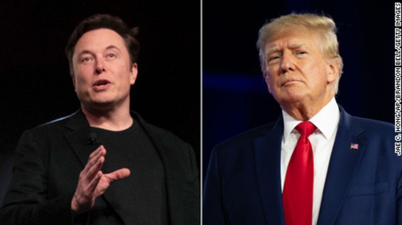 Musk afferma che gli account Twitter vietati e controversi come Jordan Peterson e Bubble B verranno ripristinati