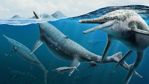 Ricostruzione artistica di ittiosauri adulti e neonati nell'oceano.